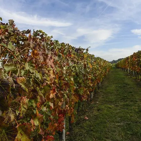 Country house Casa Giuliana