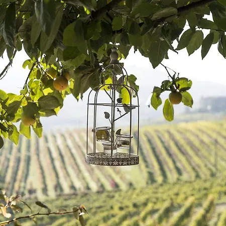 Casa di campagna Casa Giuliana Calosso